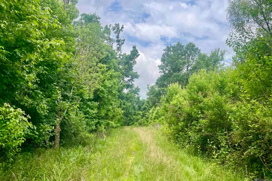 05 Tom Drehr Rd, Pride, LA 70770 - #2