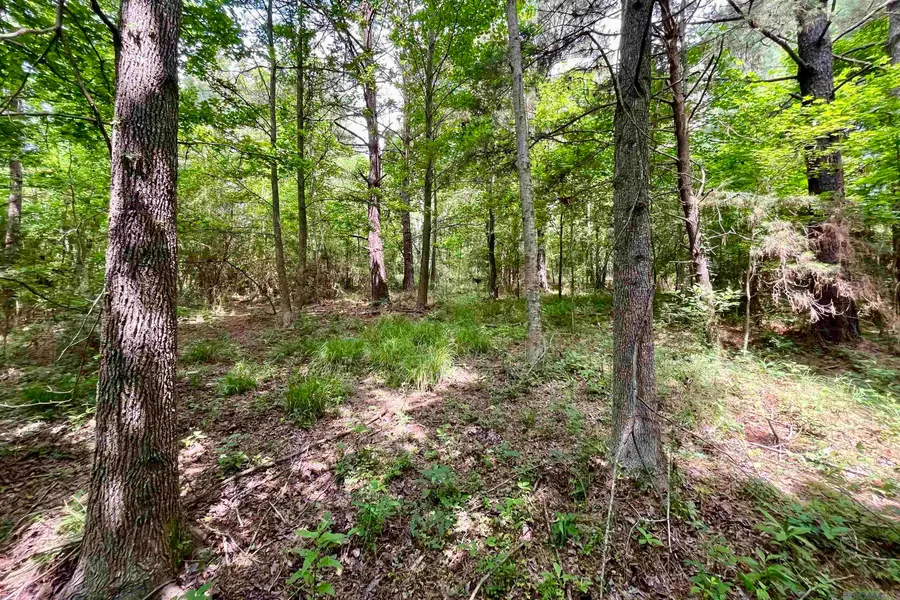 05 Tom Drehr Rd, Pride, LA 70770 - #3
