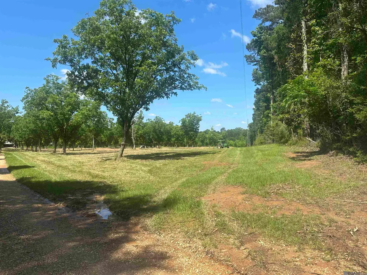 2725 Holly Ridge Rd, Jackson, LA 70777 - #1