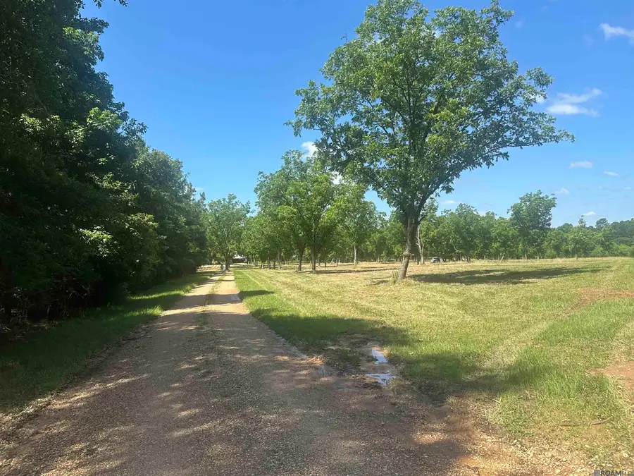 2725 Holly Ridge Rd, Jackson, LA 70777 - #3