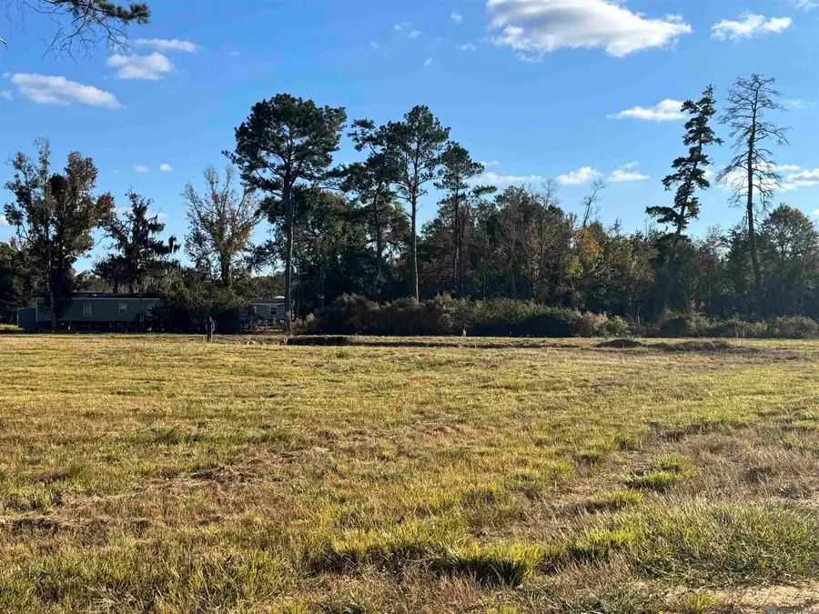 24125 Glory Dr, Livingston, LA 70754 - #2