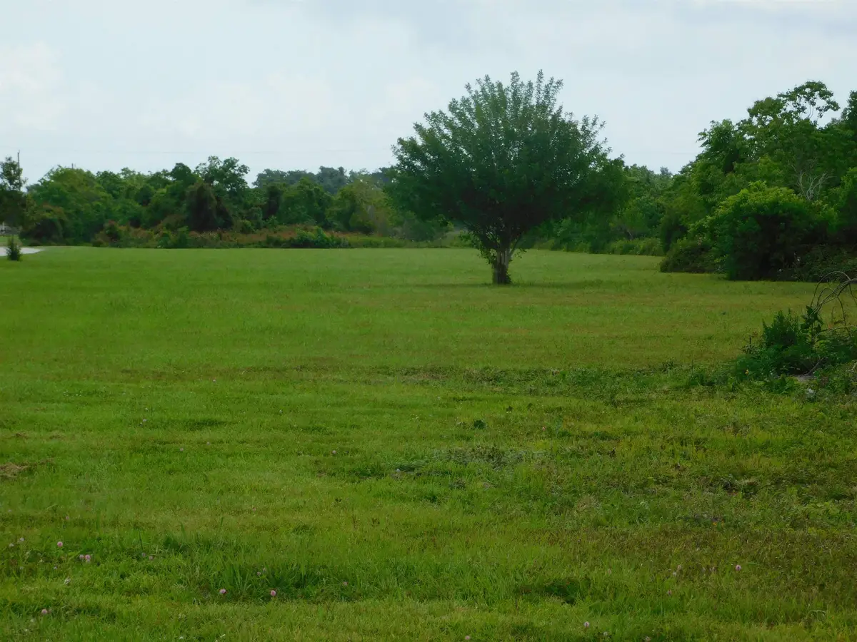 TBD Highway 308, Cut Off, LA 70345 - #1