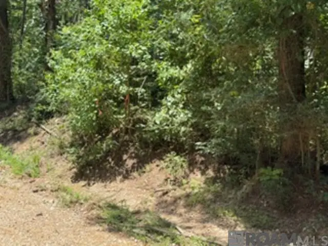 1101 Leonard Chapel Rd, Amite, LA 70422 - #2