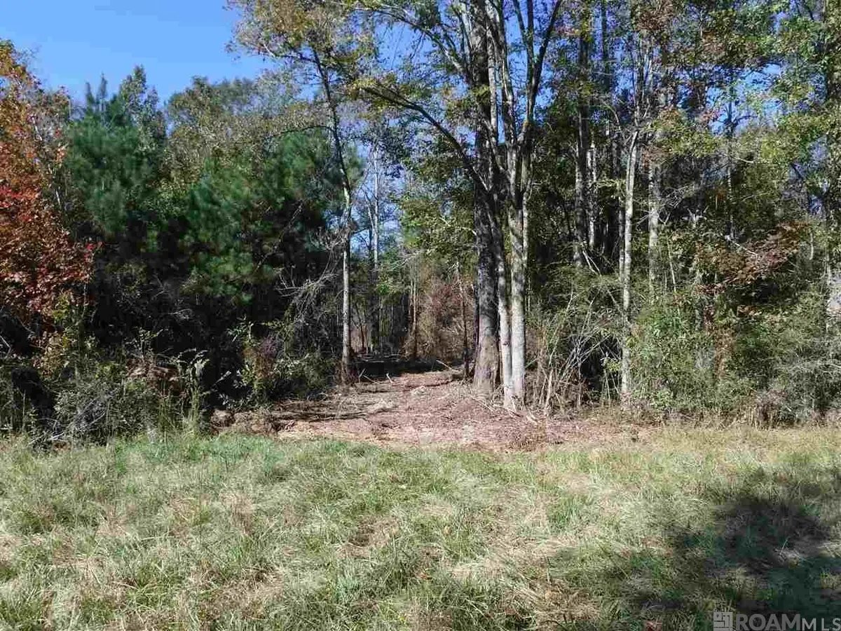X7B La Hwy 955, Ethel, LA 70730 - #1