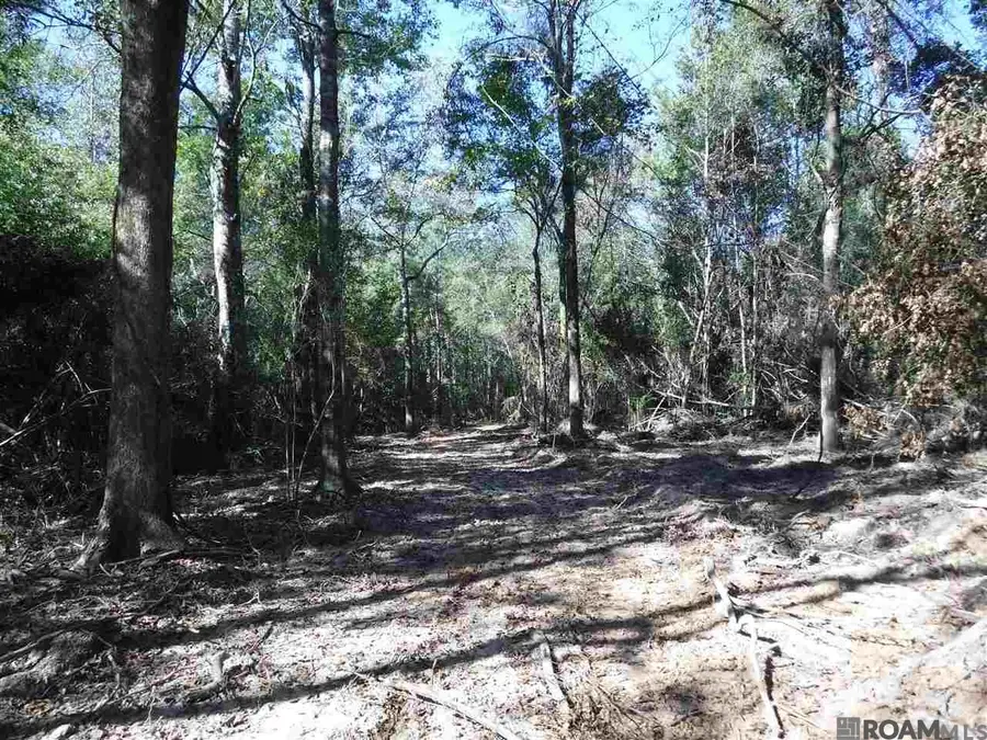 X7B La Hwy 955, Ethel, LA 70730 - #2