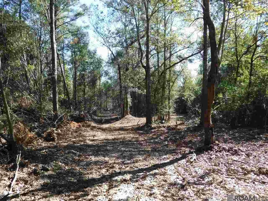 X7B La Hwy 955, Ethel, LA 70730 - #3