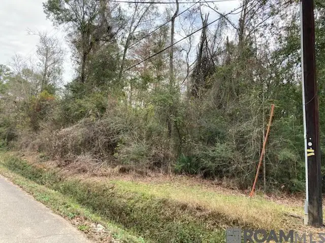 Lot 31 Lucien St, Denham Springs, LA 70726 - #1