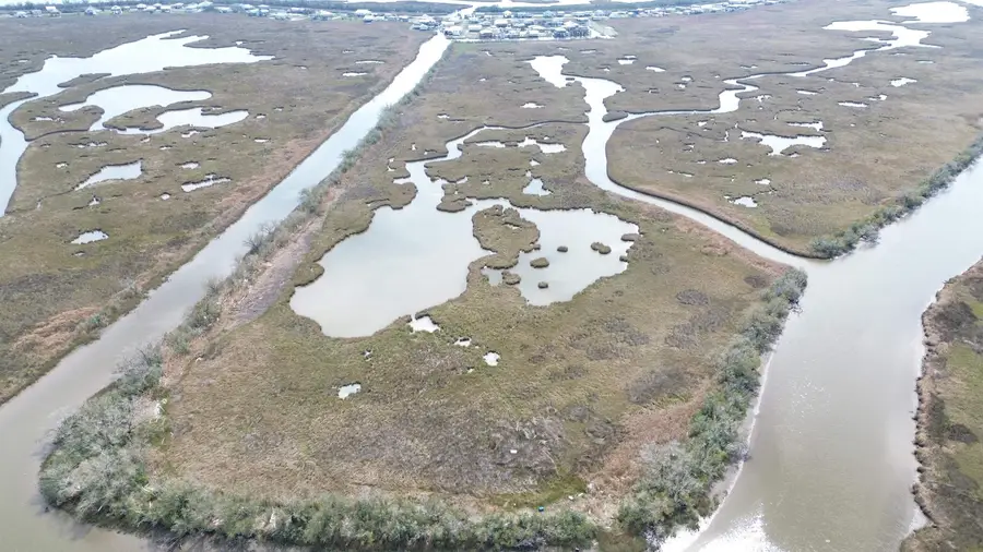 None, Dulac, LA 70353 - #2