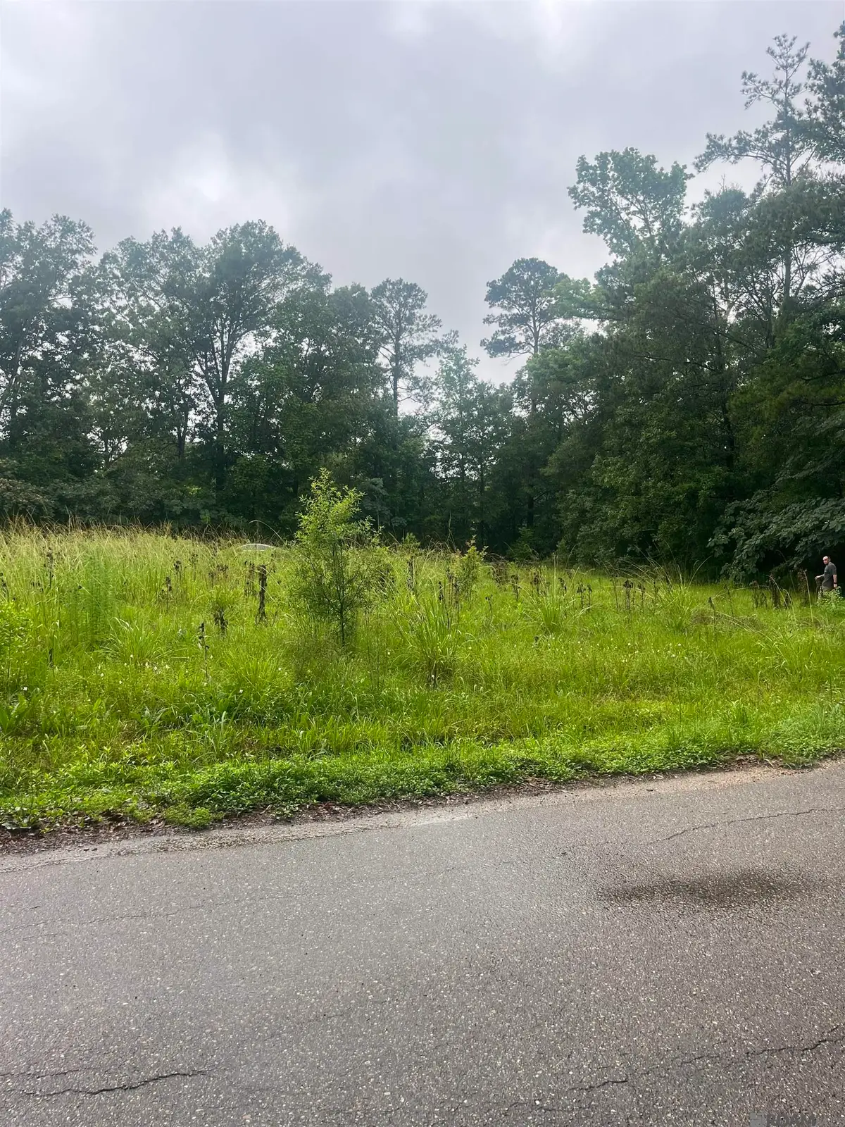 19925 Perrin Ferry Rd, Springfield, LA 70462 - #1