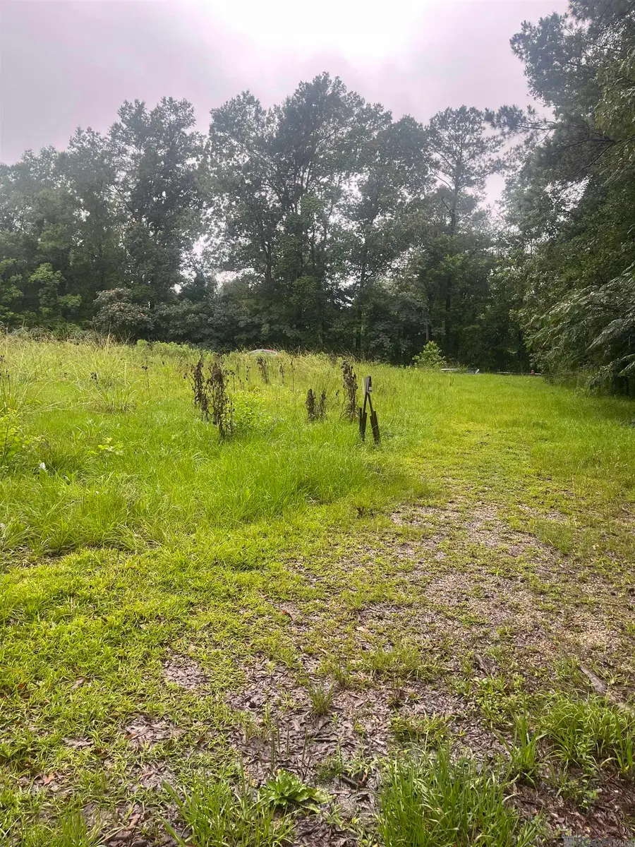 19925 Perrin Ferry Rd, Springfield, LA 70462 - #2