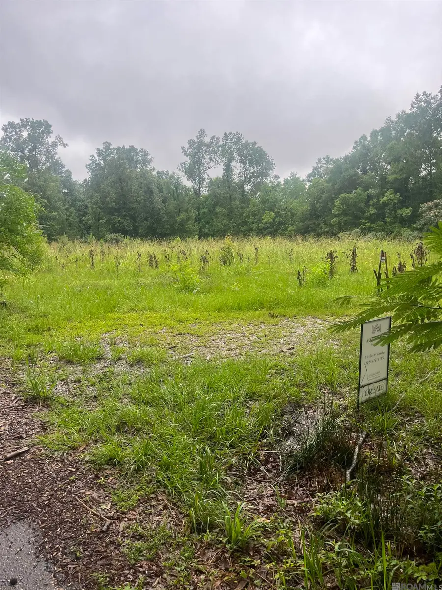 19925 Perrin Ferry Rd, Springfield, LA 70462 - #3