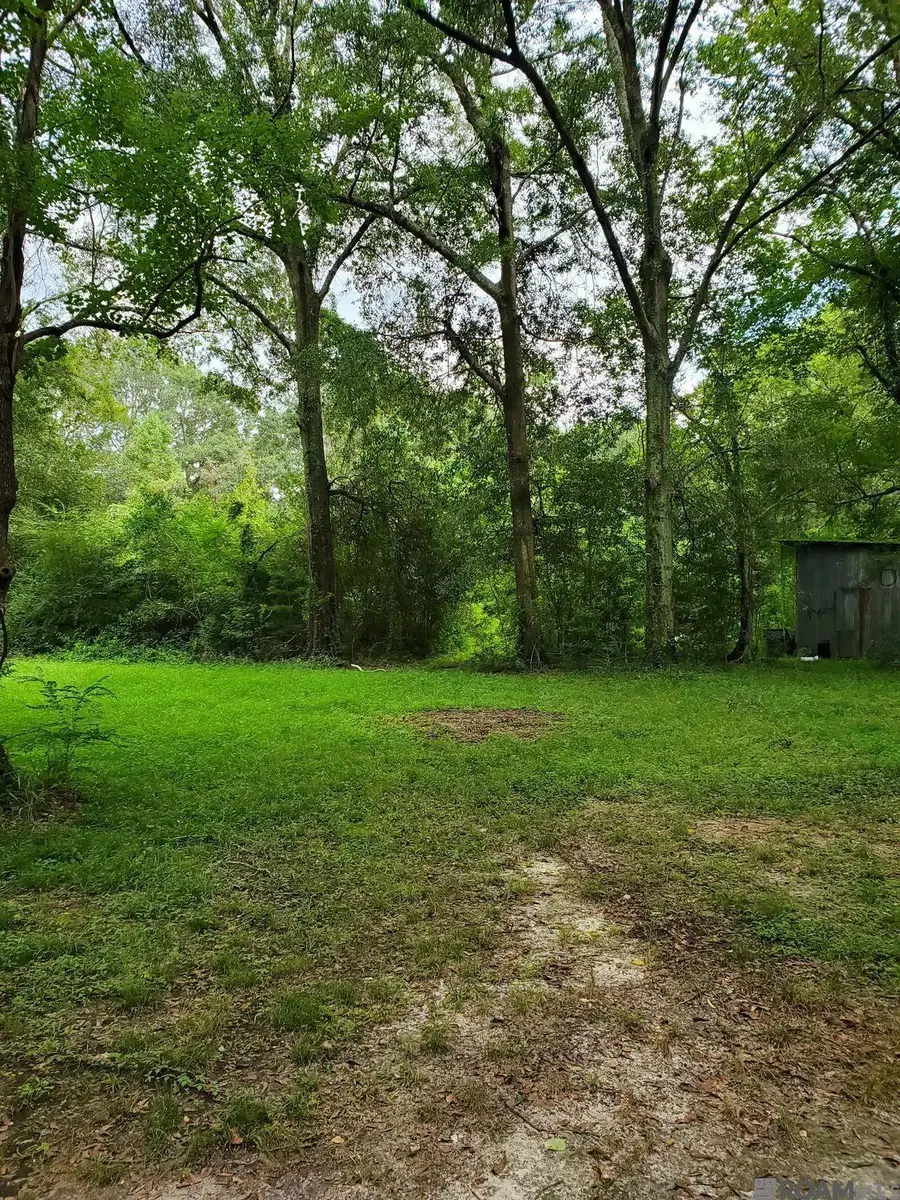 31460 La Hwy 16, Denham Springs, LA 70726 - #2