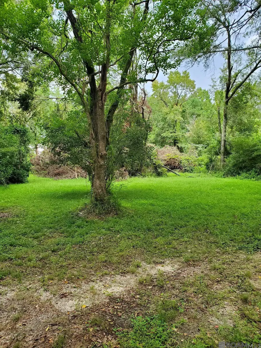 31460 La Hwy 16, Denham Springs, LA 70726 - #3