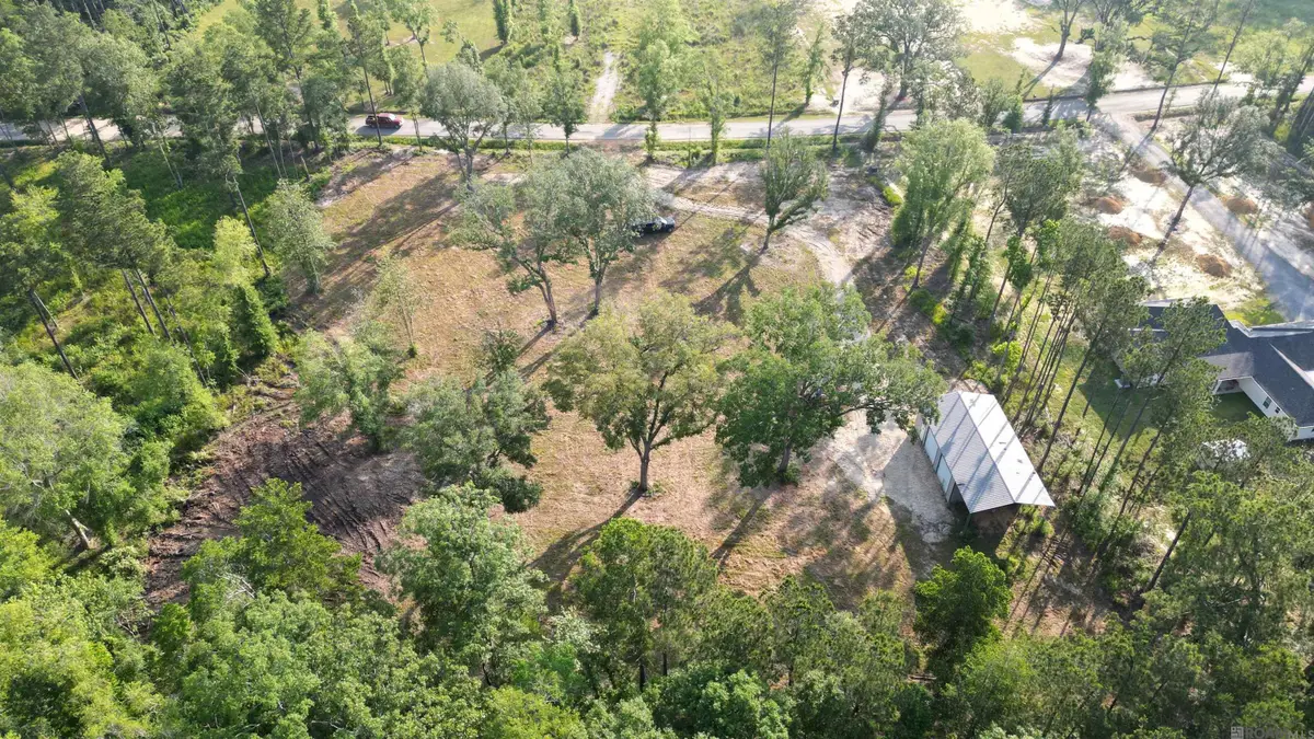 3605 Nesom Rd, Denham Springs, LA 70422 - #1
