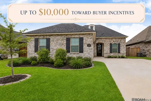 13330 Belle Prairie Dr, Geismar, LA 70734