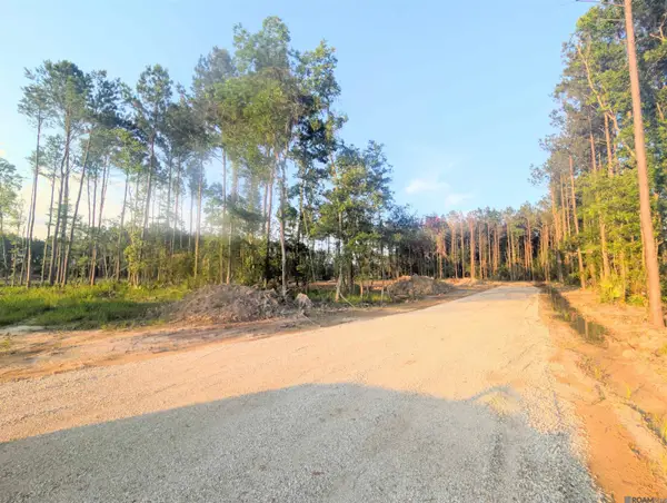 Tract 4 Critter Cove Ln, Livingston, LA 70754