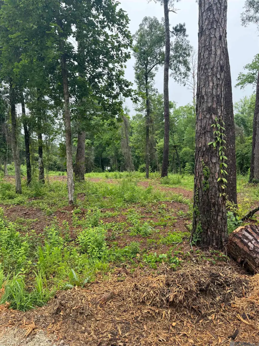 TBD La-16 Highway, Denham Springs, LA 70726 - #3