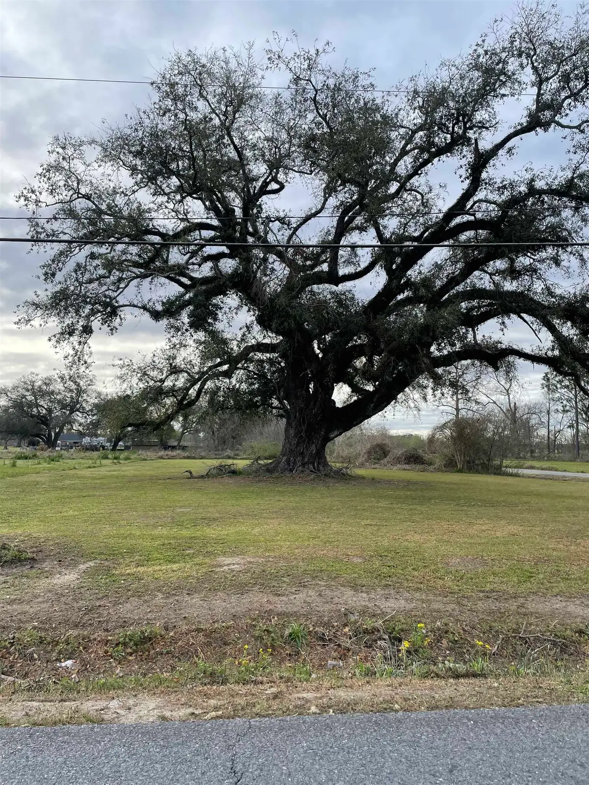 0 Highway 1011, Napoleonville, LA 70390 - #1
