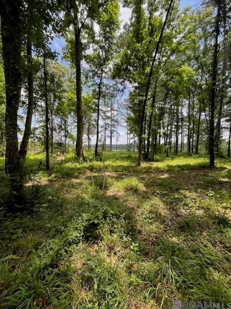 J.h. Jenkins Ln, Denham Springs, LA 70706 - #1