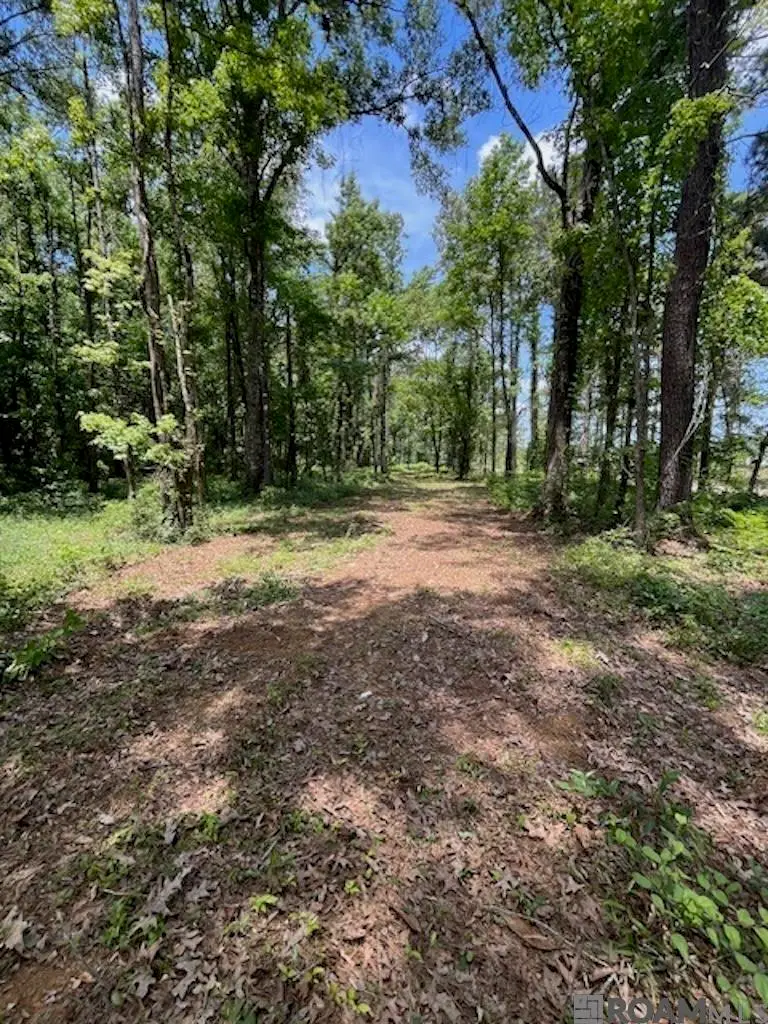 J.h. Jenkins Ln, Denham Springs, LA 70706 - #2