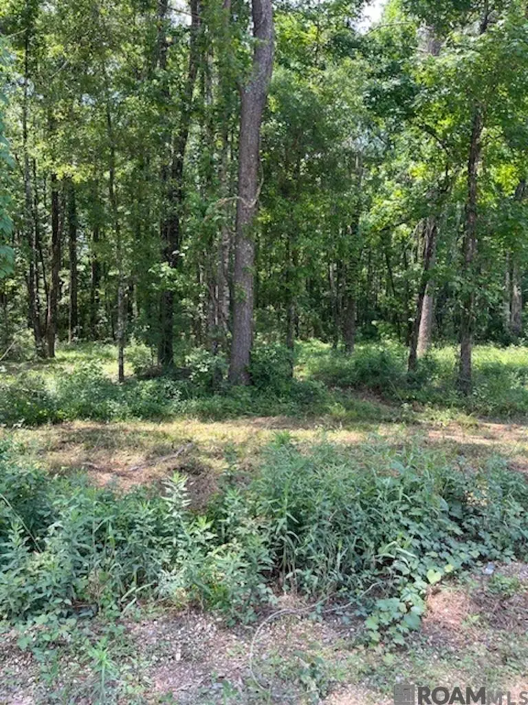J.h. Jenkins Ln, Denham Springs, LA 70706 - #3