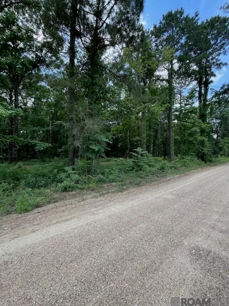 J.h. Jenkins Ln, Denham Springs, LA 70706 - #1