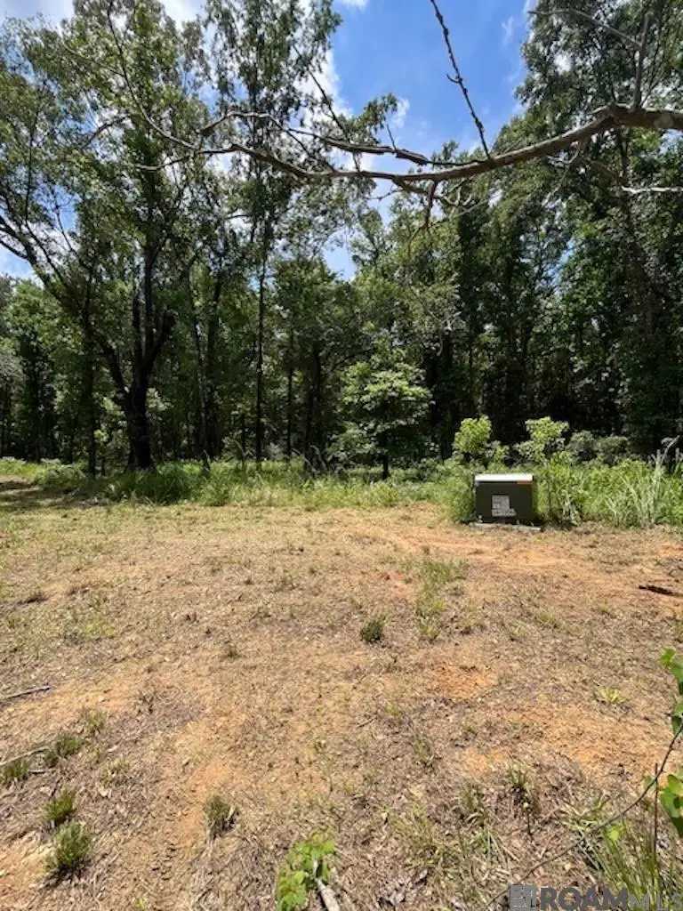 J.h. Jenkins Ln, Denham Springs, LA 70706 - #3