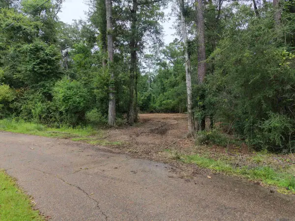 Tract D Joiner Lane, Ponchatoula, LA 70454