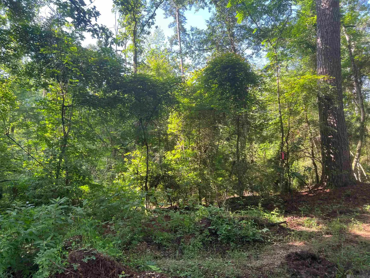 Lot 1 Hepzibah Rd, Clinton, LA 70722 - #1
