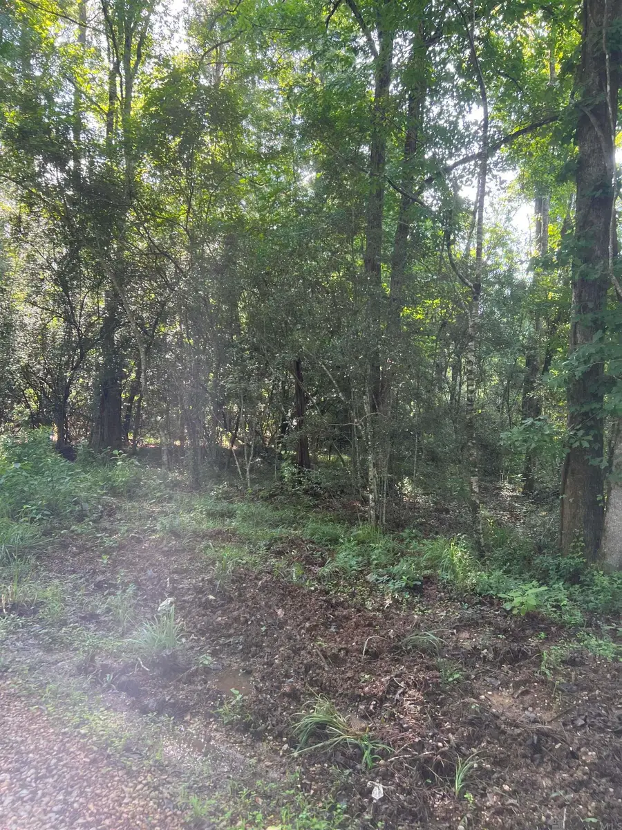 Lot 1 Hepzibah Rd, Clinton, LA 70722 - #2