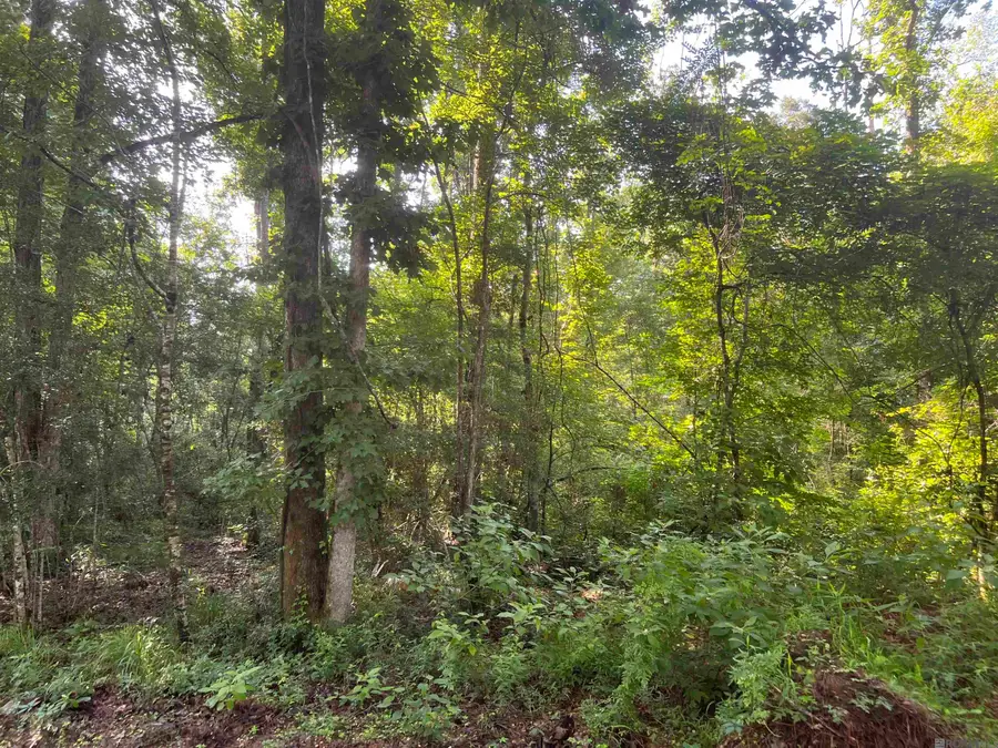 Lot 1 Hepzibah Rd, Clinton, LA 70722 - #3