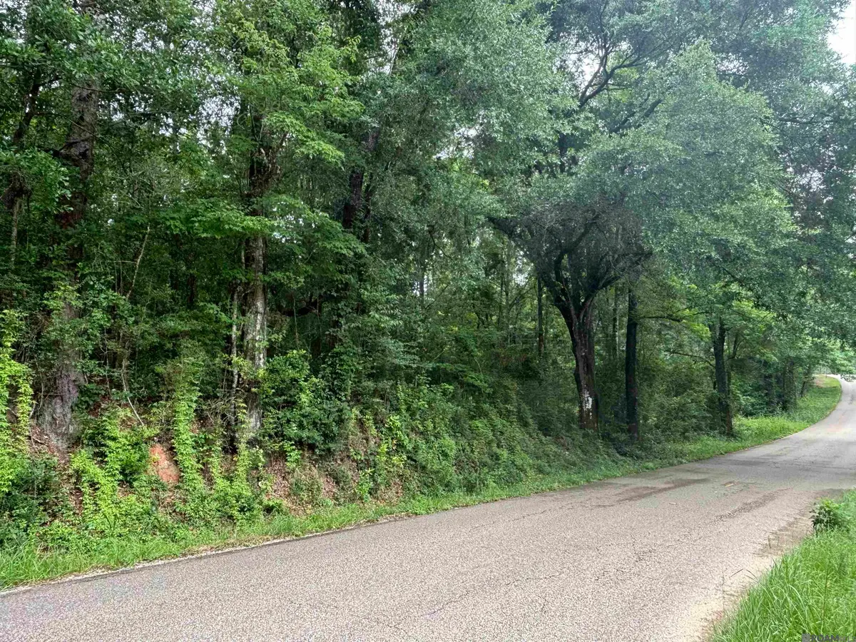 TBD Sie Jenkins Road, Bogalusa, LA 70427 - #1