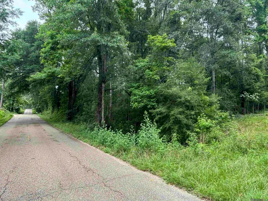 TBD Sie Jenkins Road, Bogalusa, LA 70427 - #2