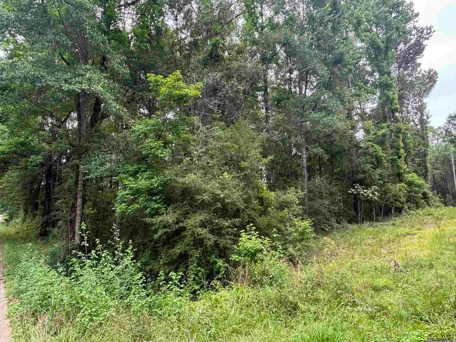 TBD Sie Jenkins Road, Bogalusa, LA 70427 - #3