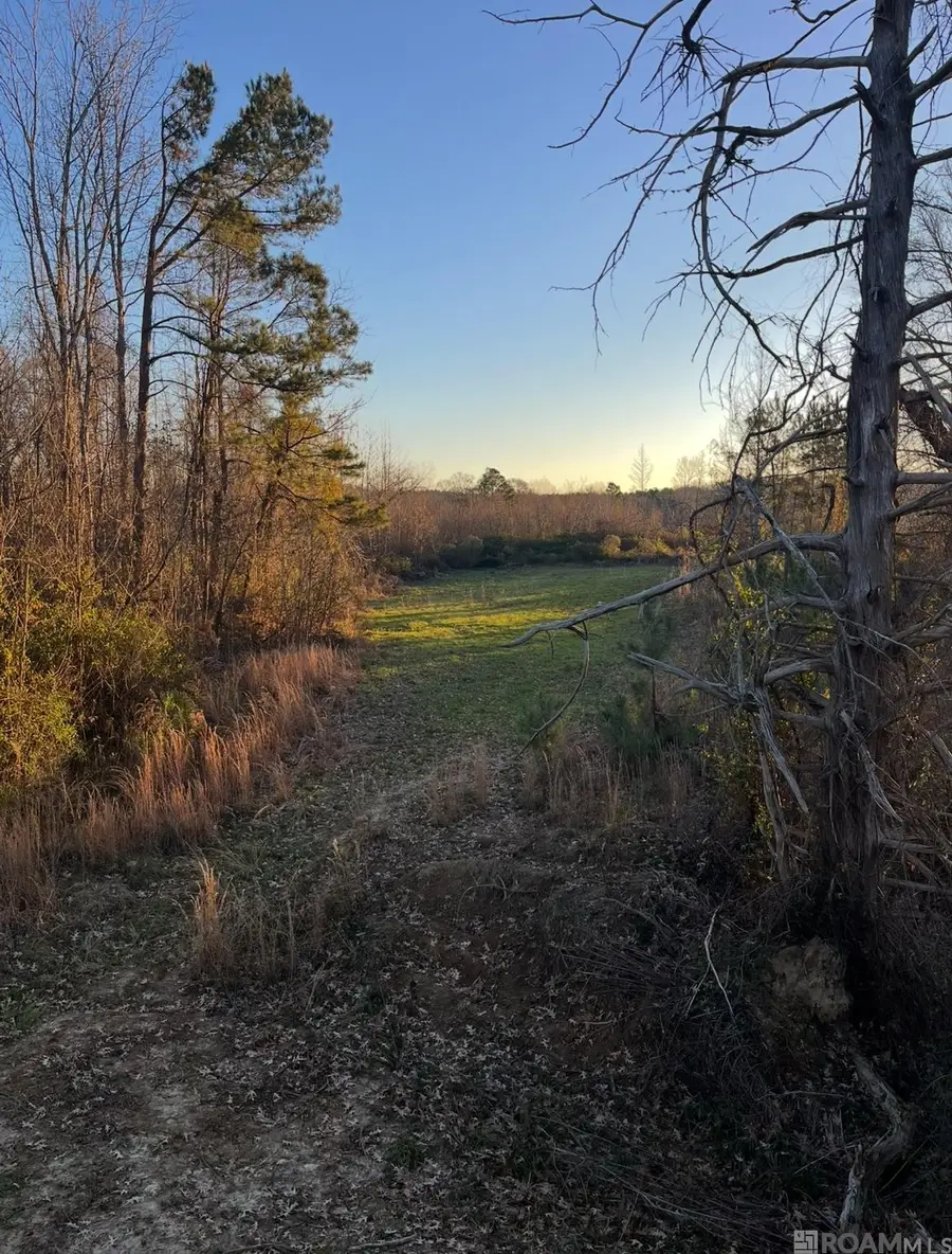 11255 Old Port Gibson Road, Hermanville, MS 39086 - #2