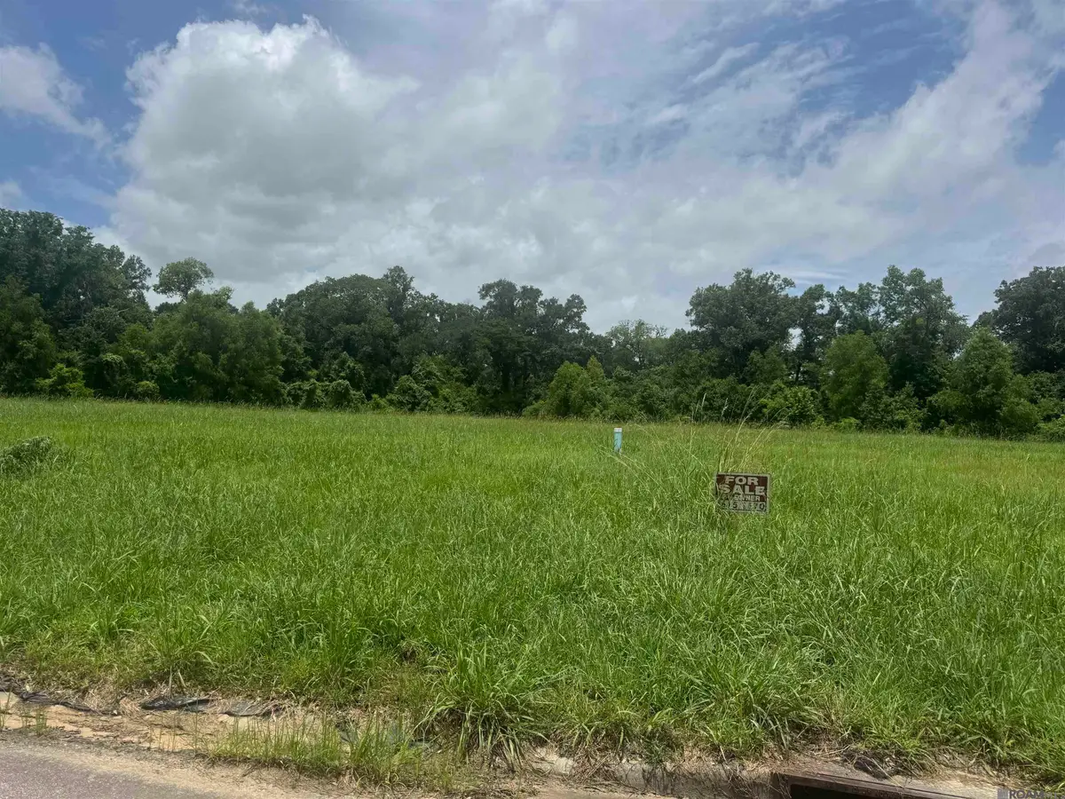 36112 Westin Ridge Dr, Geismar, LA 70734 - #1