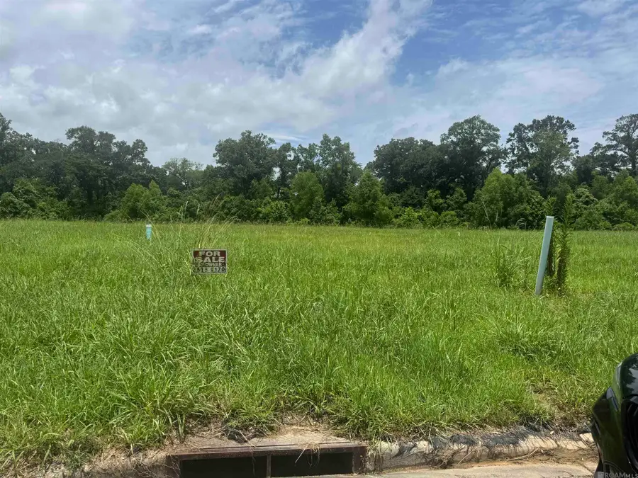 36112 Westin Ridge Dr, Geismar, LA 70734 - #2