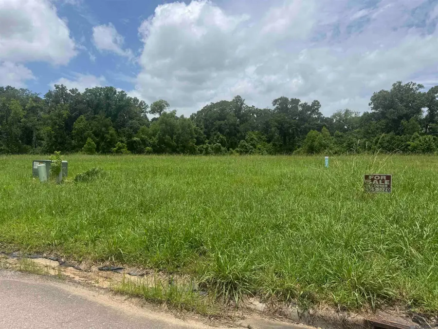 36112 Westin Ridge Dr, Geismar, LA 70734 - #3