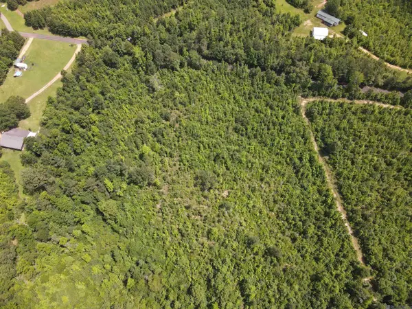 TBD NE Shucktown Road, Mccall Creek, MS 39647