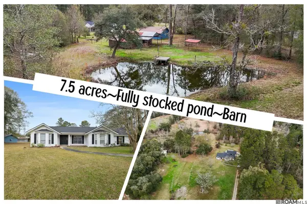 29417 Mary Kinchen Rd, Albany, LA 70711