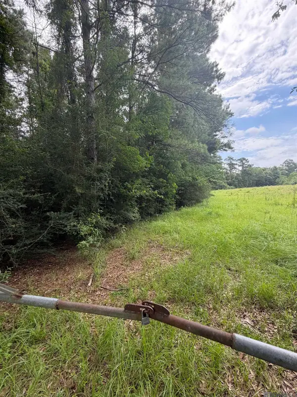 TBD 7.45 Acres Belgian Road, Holden, LA 70744