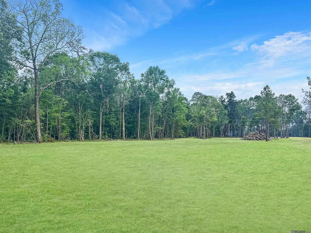35085 Coy Holden Rd, Walker, LA 70785 - #1