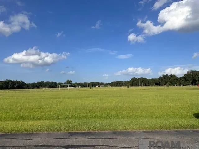 11036 Cessna St, Gonzales, LA 70737 - #1