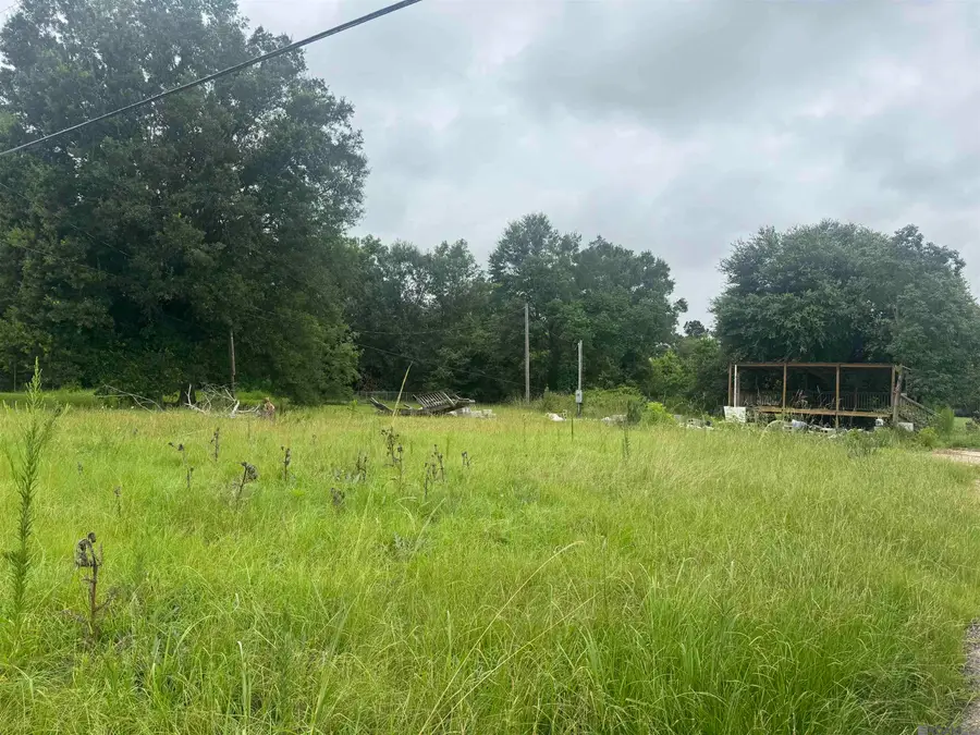 7641 Amite Church Rd, Denham Springs, LA 70706 - #2