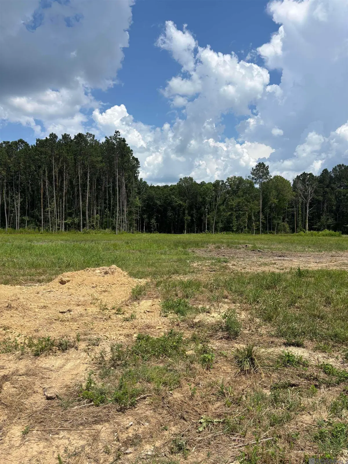 34766 Clinton Allen Rd, Denham Springs, LA 70706 - #1