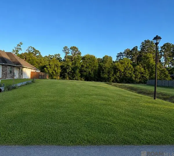 17832 H S Brignac Dr, French Settlement, LA 70733