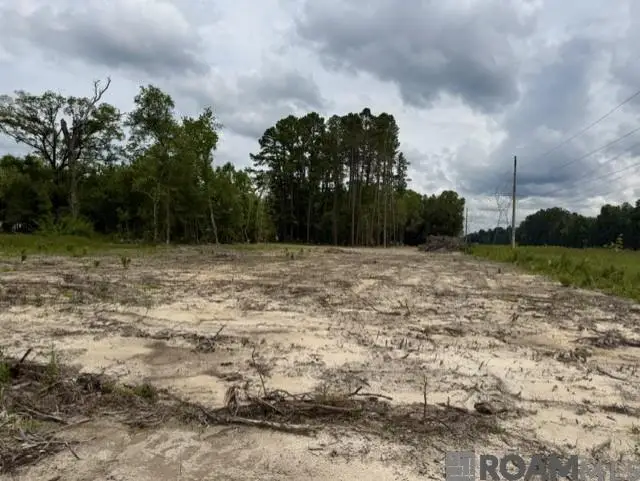 11402 Maxwell Dr, Walker, LA 70785 - #2