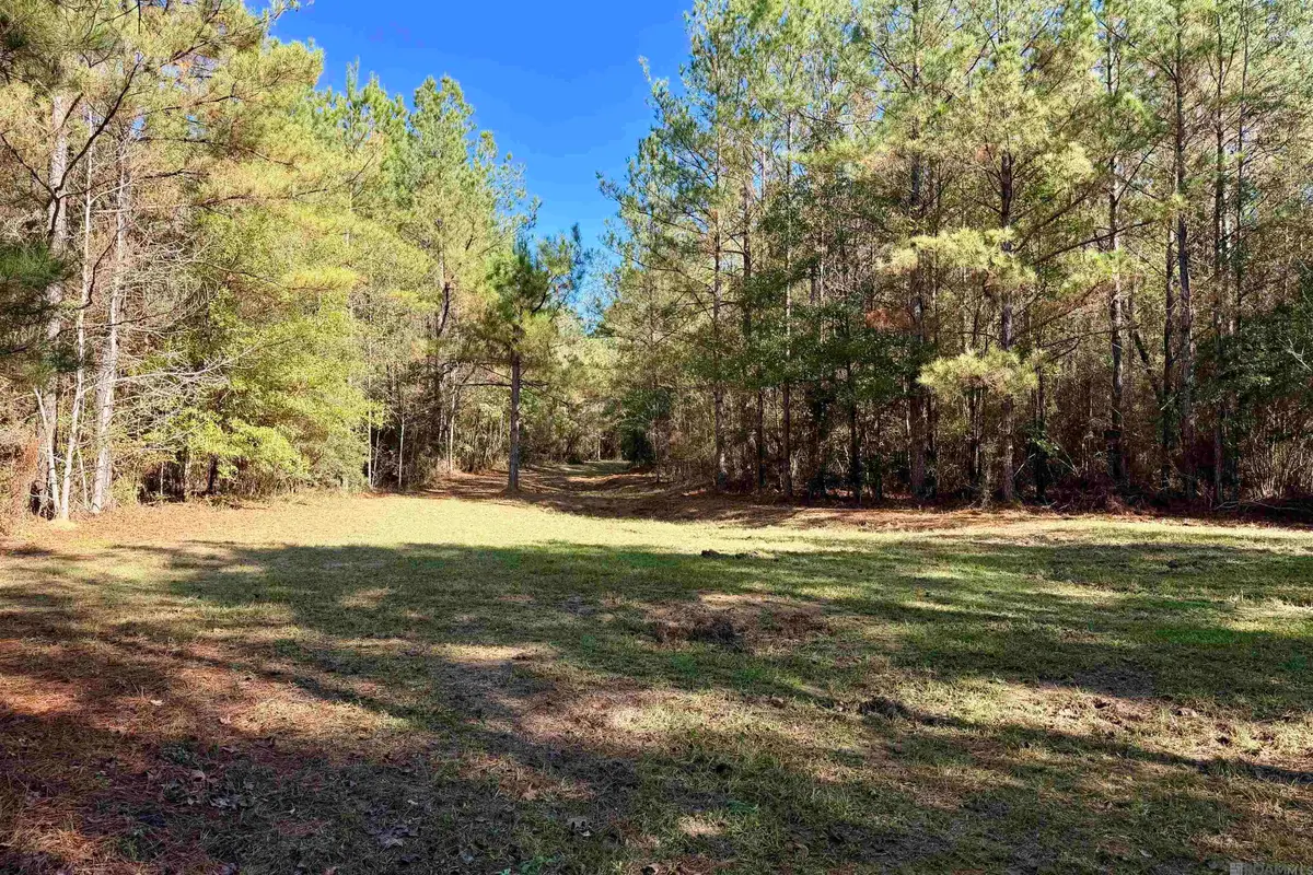 03 La Hwy 1047, Amite, LA 70442 - #1