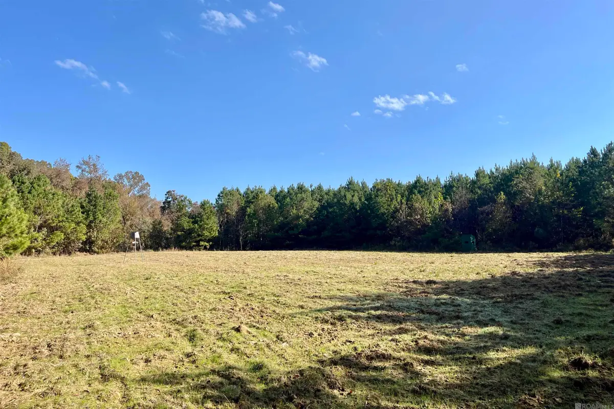 05 Stampley Rd, Roxie, MS 39661 - #1