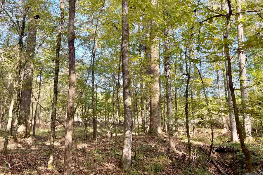 05 Stampley Rd, Roxie, MS 39661 - #3